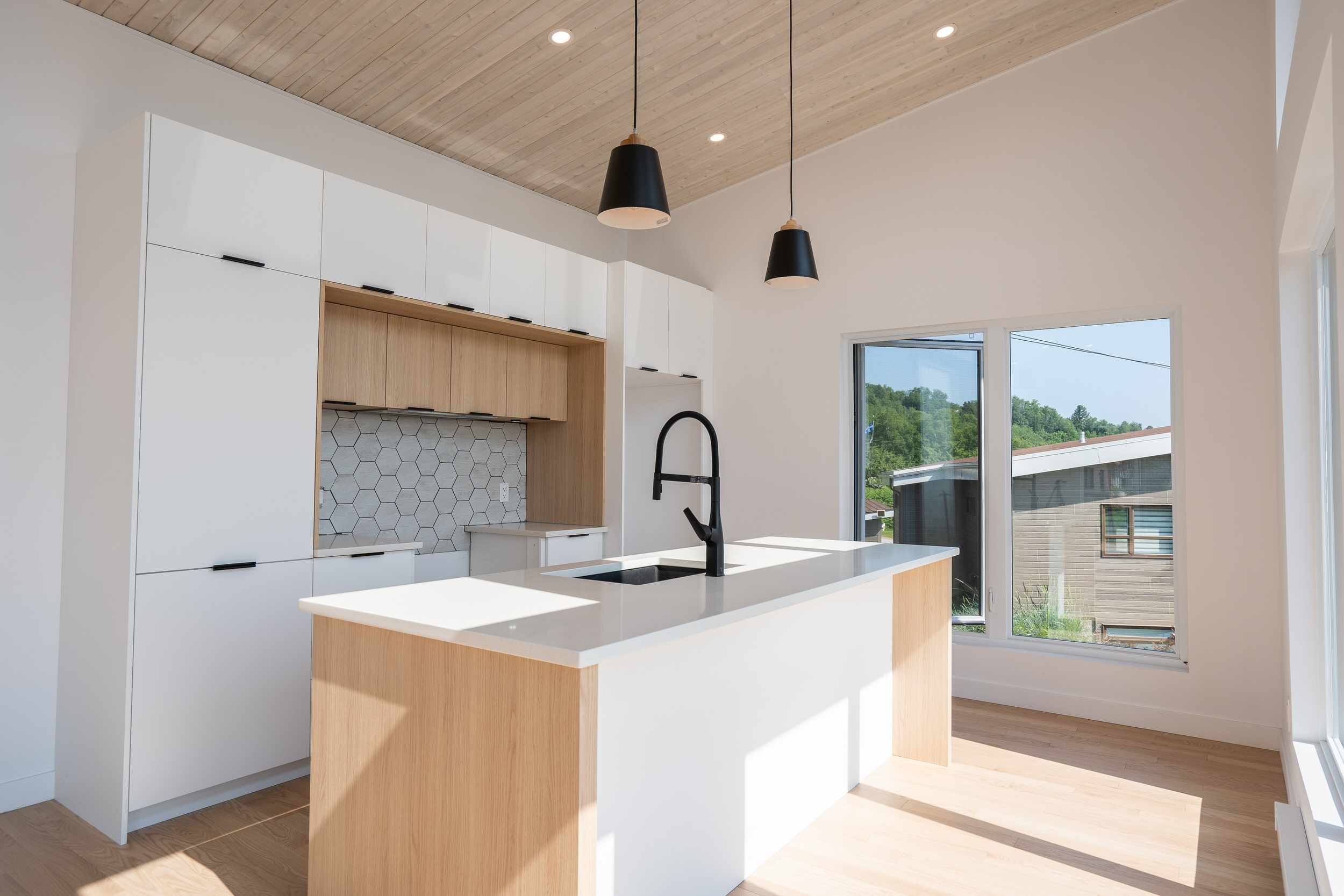 Niveautech-Maison-Modele–00432